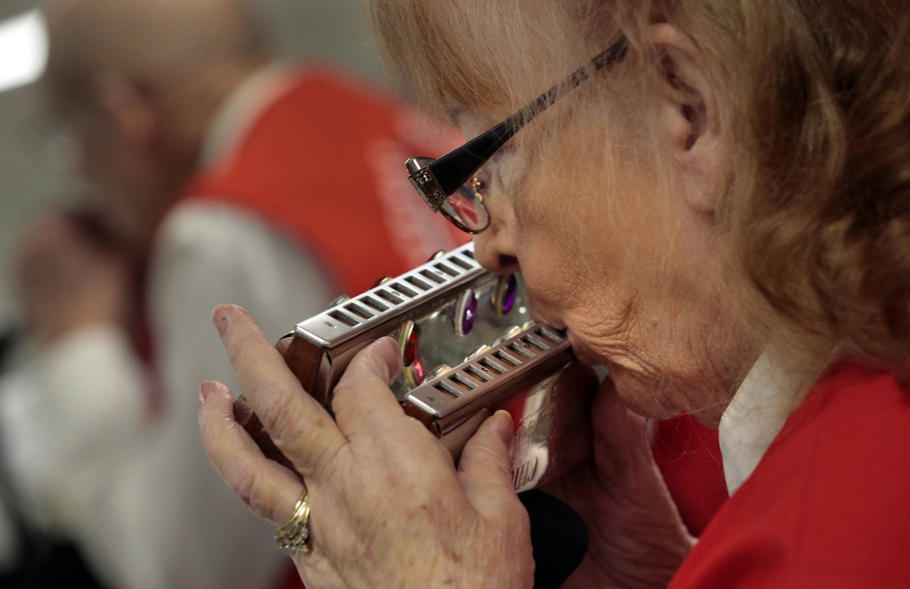 Gateway Harmonica Club celebrates 32 years